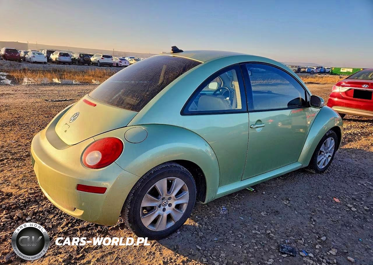 2009 Volkswagen New Beetle S VIN:3VWPW31C59M503831 - 3