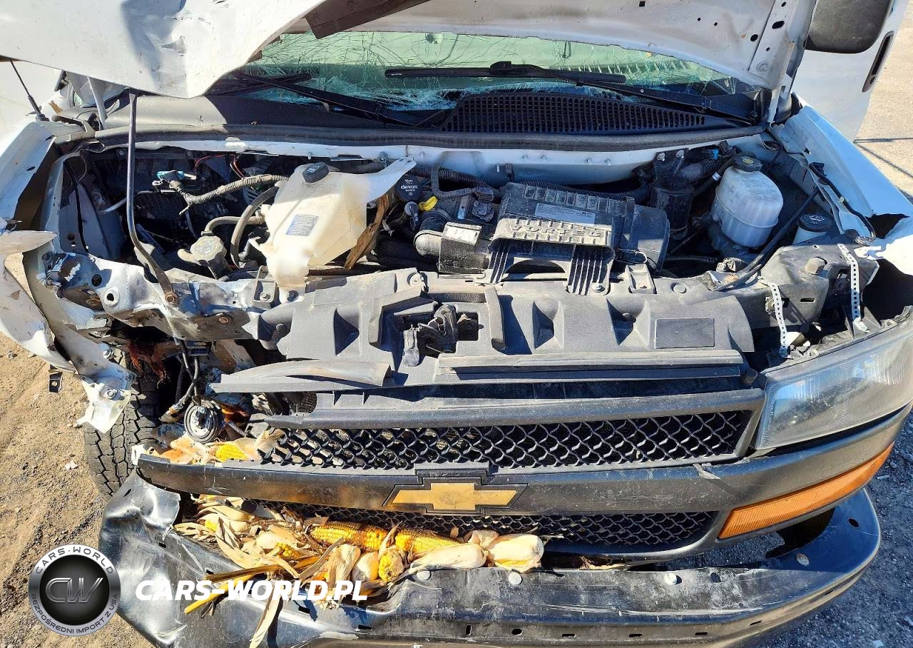 2020 Chevrolet Express VIN:1GCWGAFG6L1194533 - 12