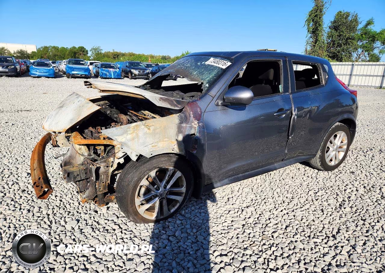 2013 Nissan Juke S VIN:JN8AF5MR9DT220674 - 1