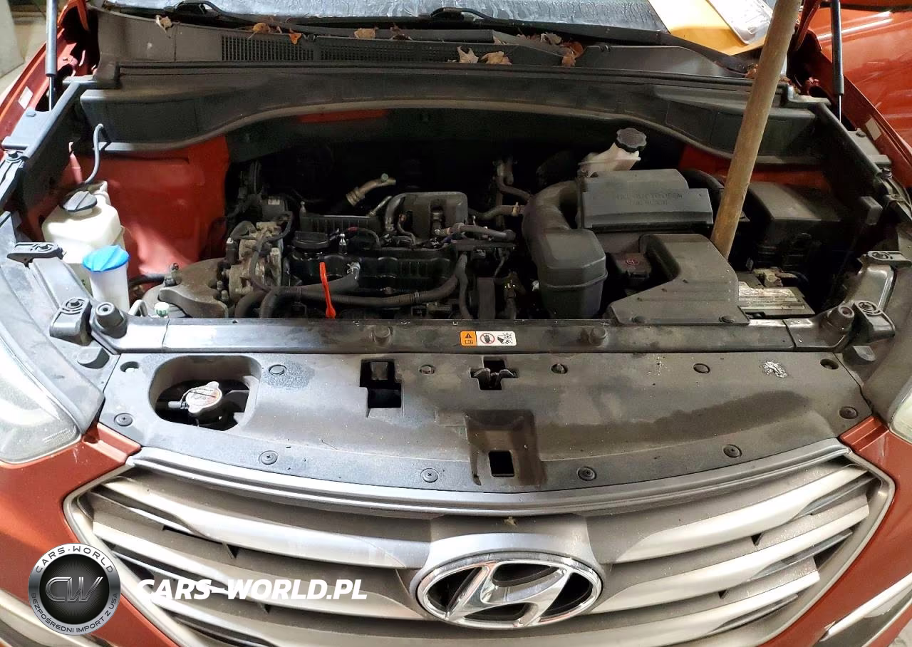 2017 Hyundai Santa Fe Sport 2.4L VIN:5XYZUDLB7HG469107 - 12