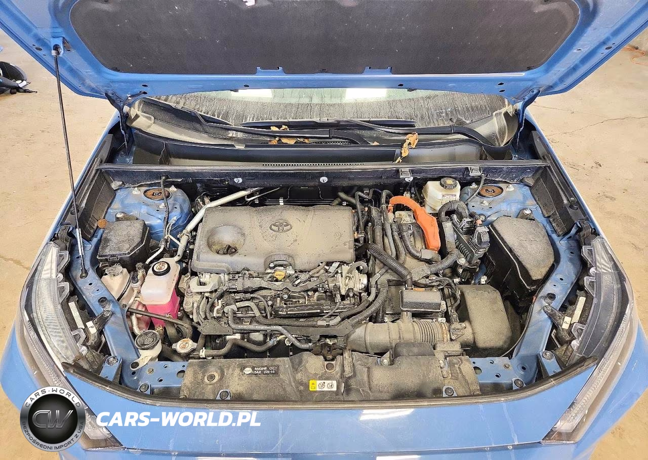 2024 Toyota Rav4 Xse VIN:2T3E6RFV0RW079142 - 12