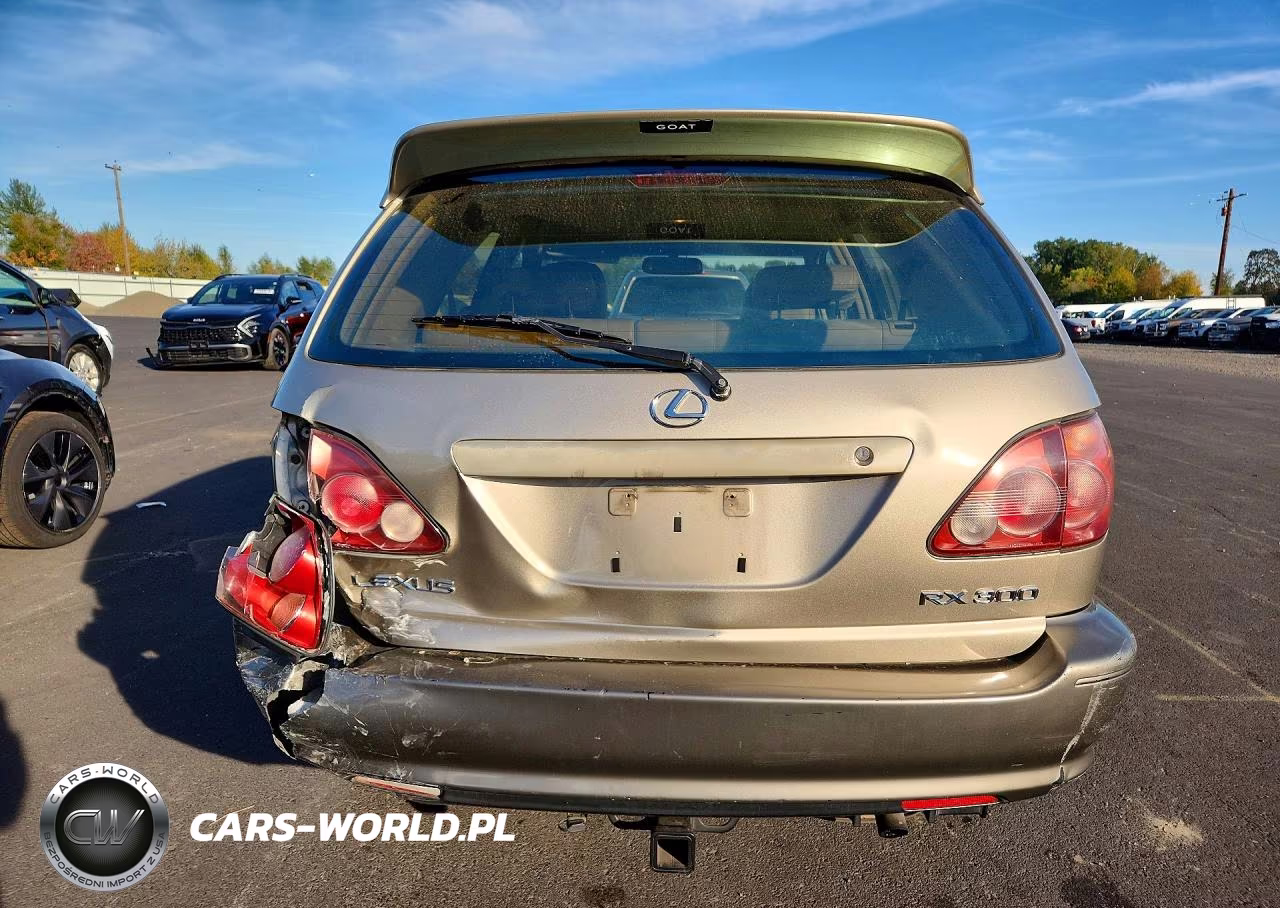 2000 Lexus Rx 300 VIN:JT6HF10U8Y0125616 - 6