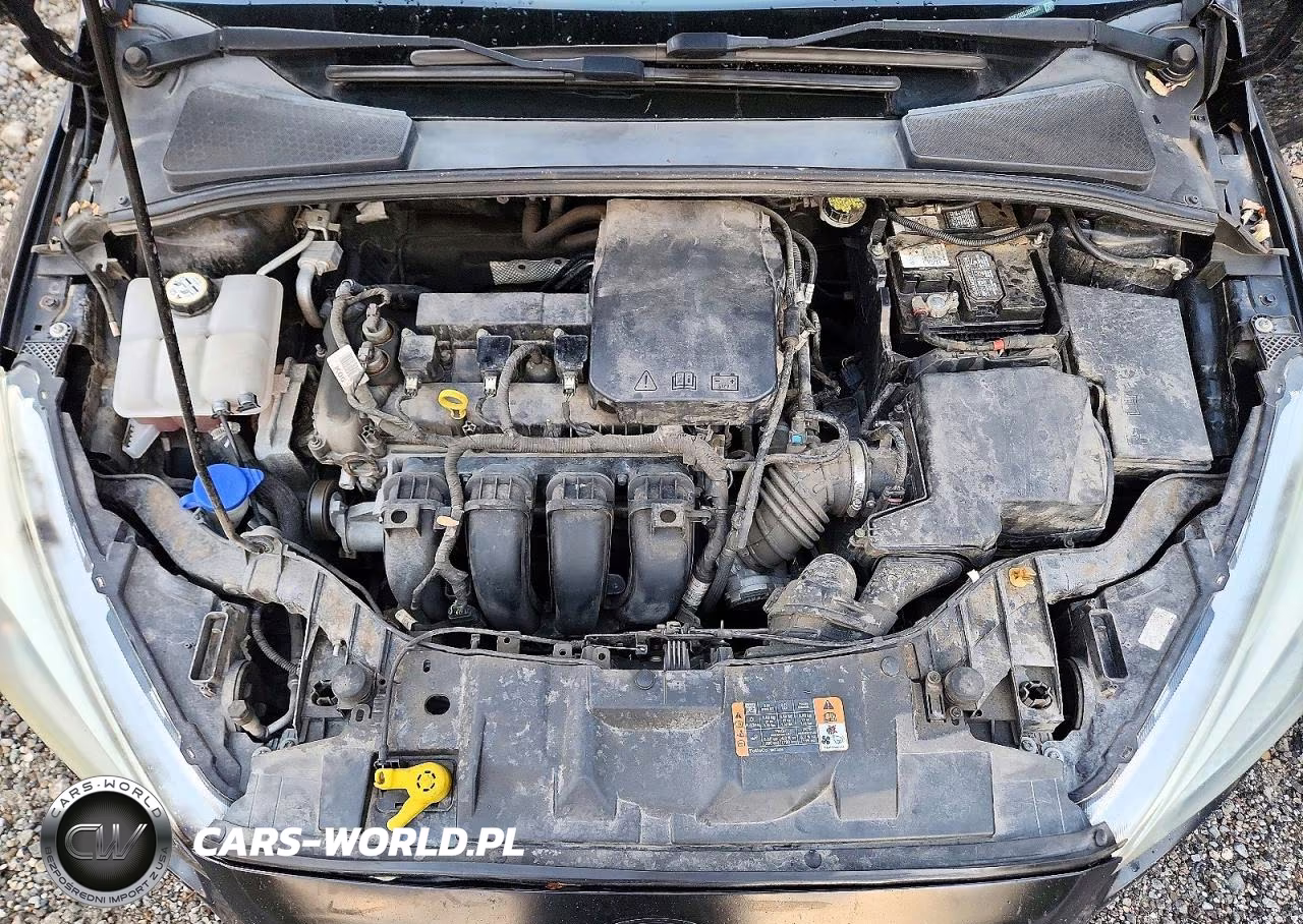 2016 Ford Focus Se VIN:1FADP3F20GL395268 - 11