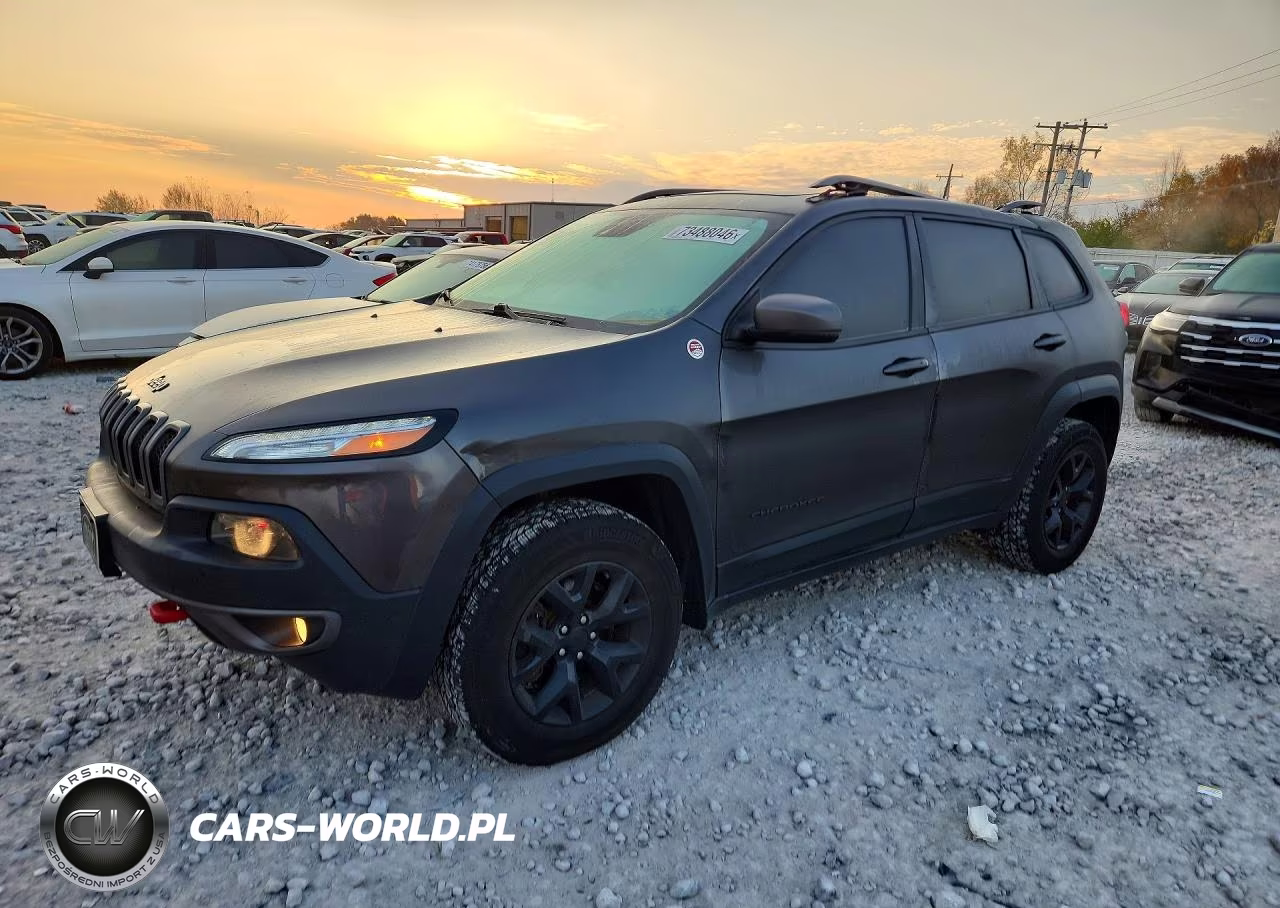 2016 Jeep Cherokee Trailhawk VIN:1C4PJMBSXGW338479 - 1