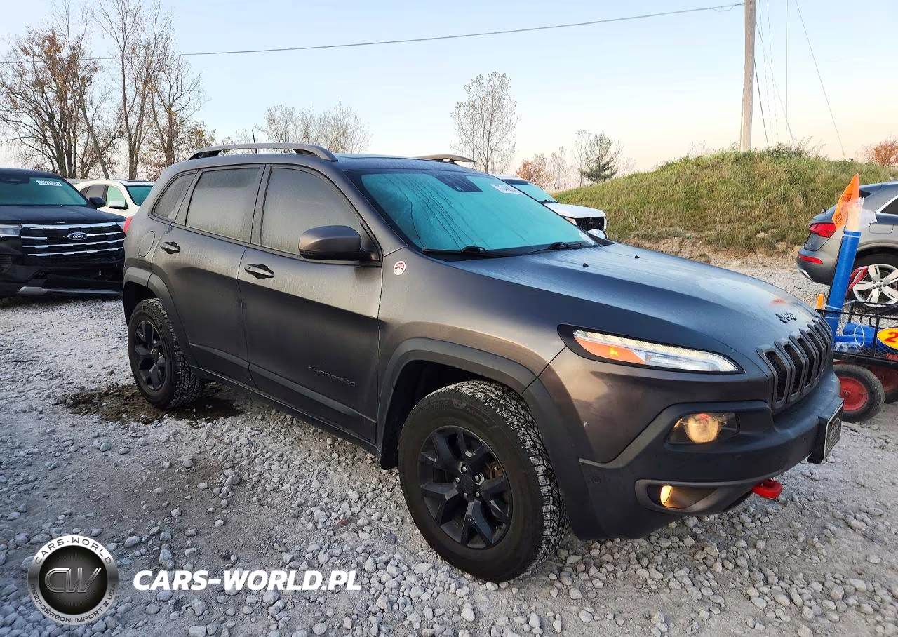 2016 Jeep Cherokee Trailhawk VIN:1C4PJMBSXGW338479 - 4