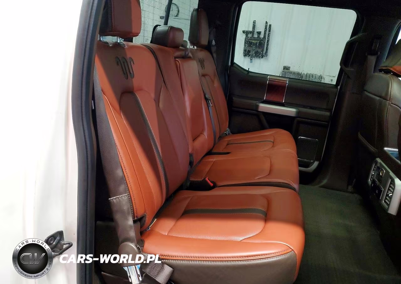 2019 Ford F-150 King Ranch VIN:1FTFW1E49KFC74775 - 10
