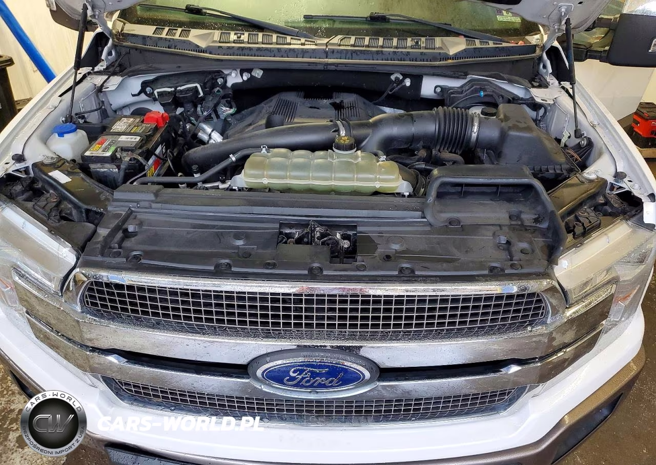2019 Ford F-150 King Ranch VIN:1FTFW1E49KFC74775 - 11