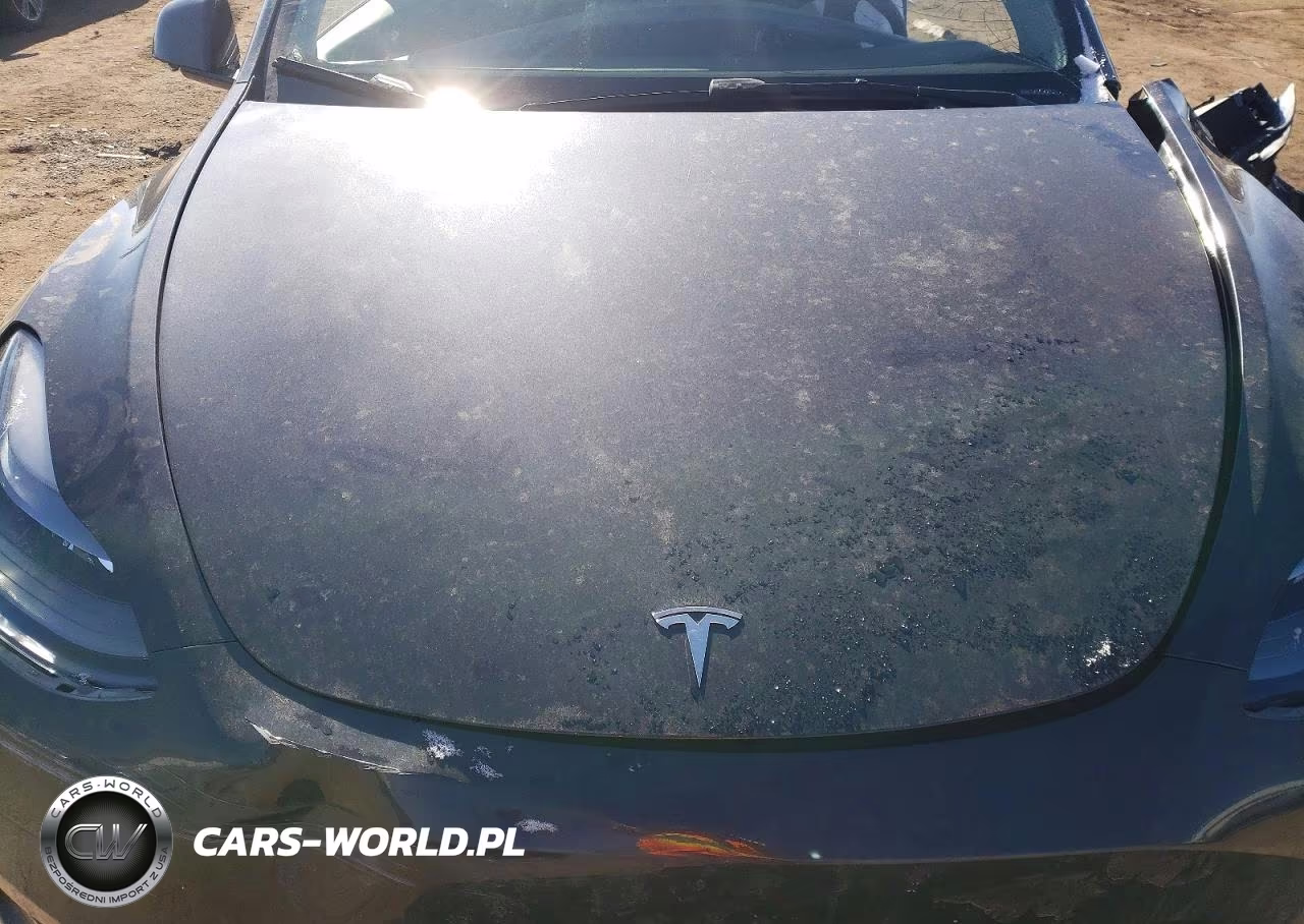 2024 Tesla Model Y VIN:7SAYGDEE6RA236743 - 11