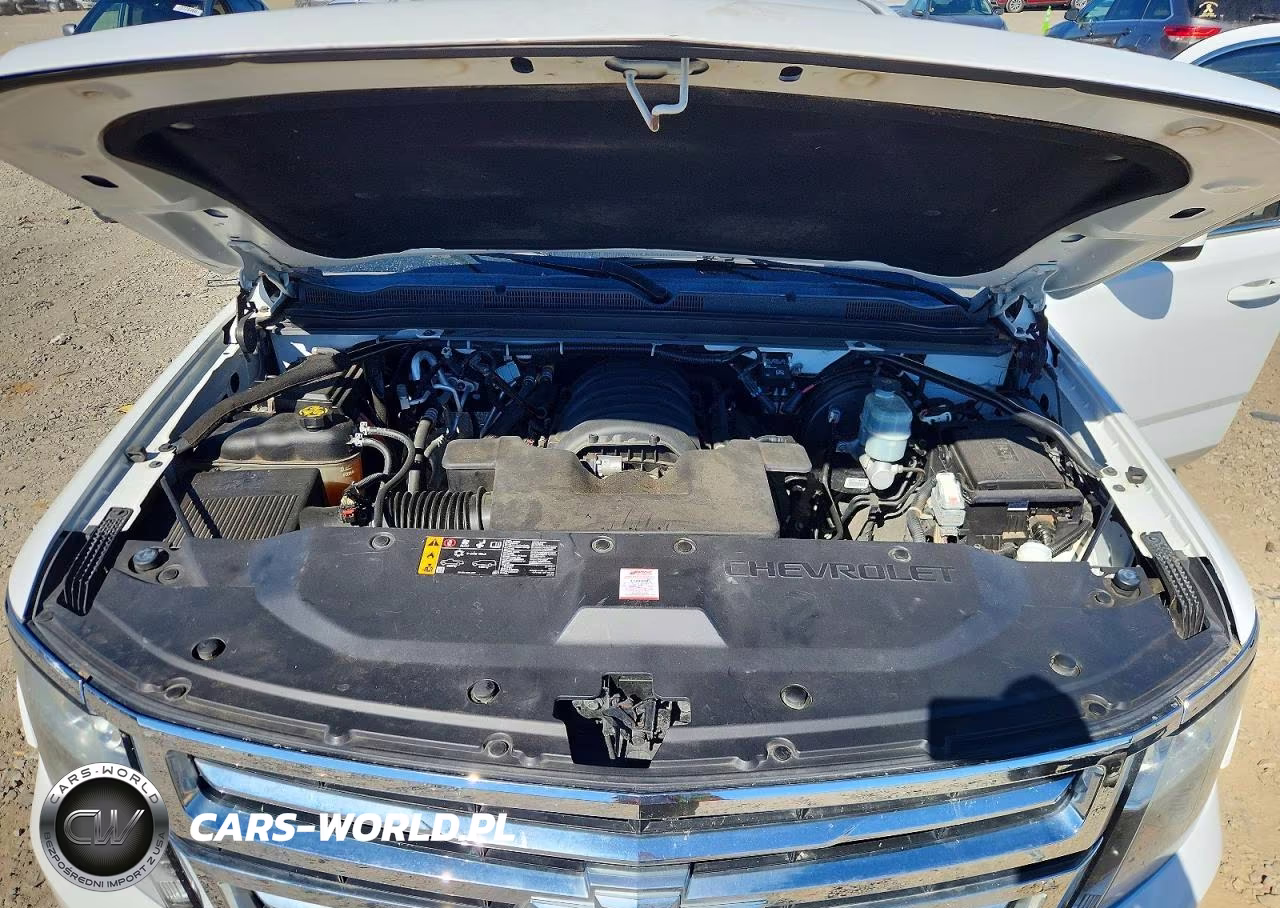 2020 Chevrolet Tahoe Police VIN:1GNLCDEC4LR163756 - 12
