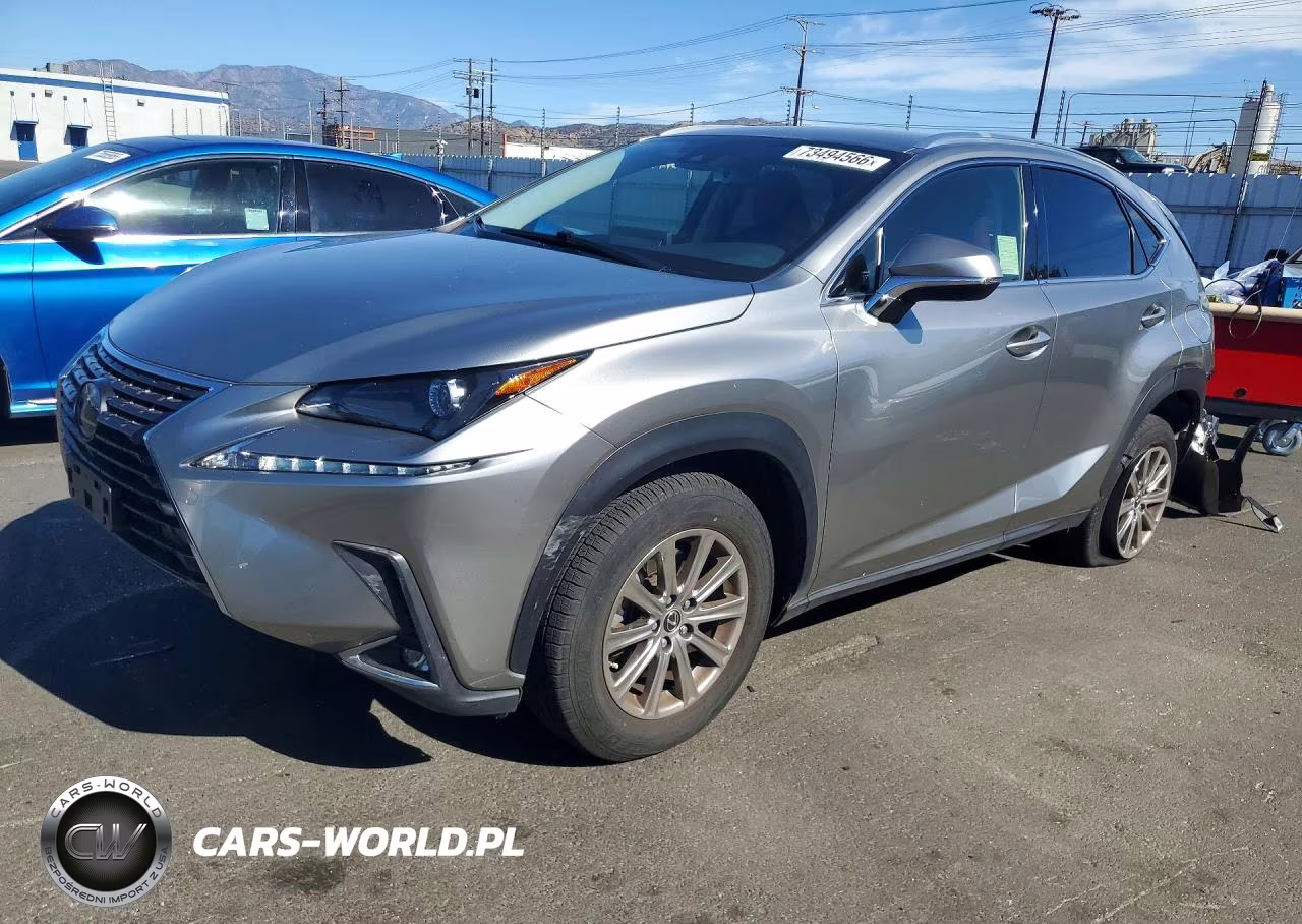 2020 Lexus Nx 300 Base VIN:JTJAARBZ5L5016698 - 1