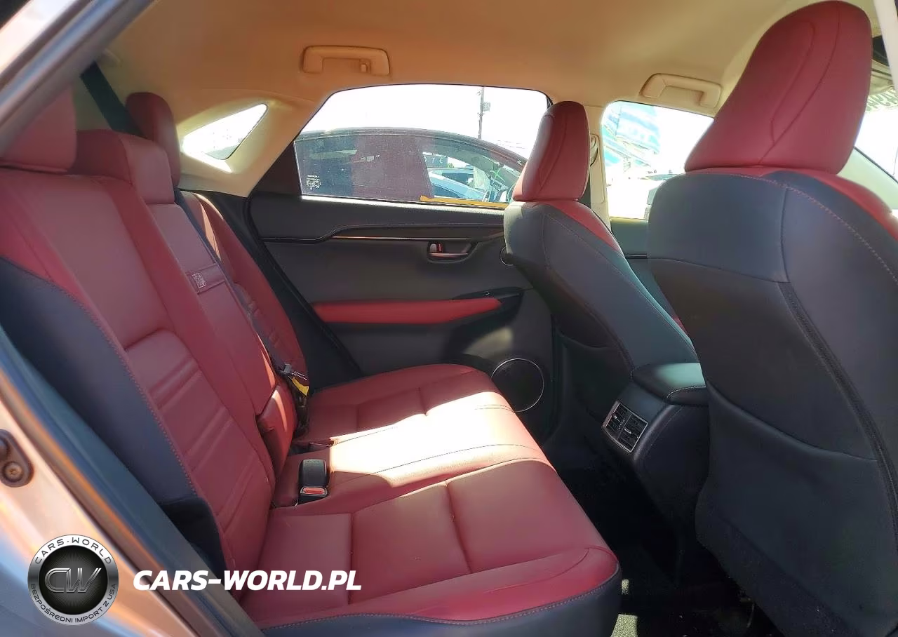 2020 Lexus Nx 300 Base VIN:JTJAARBZ5L5016698 - 11