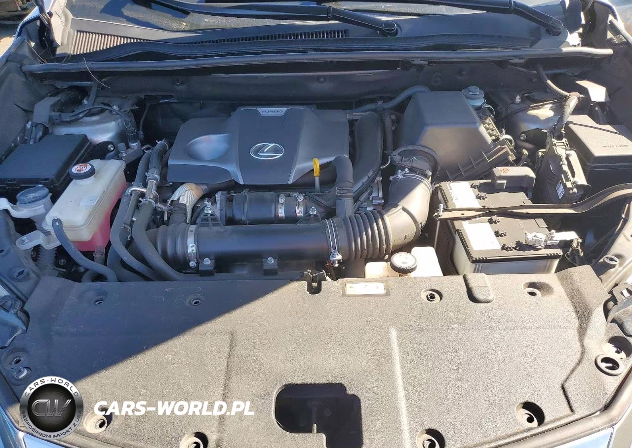 2020 Lexus Nx 300 Base VIN:JTJAARBZ5L5016698 - 12