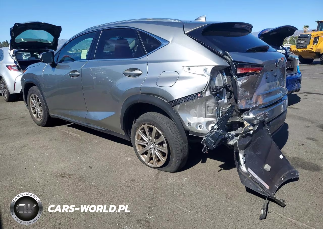 2020 Lexus Nx 300 Base VIN:JTJAARBZ5L5016698 - 2
