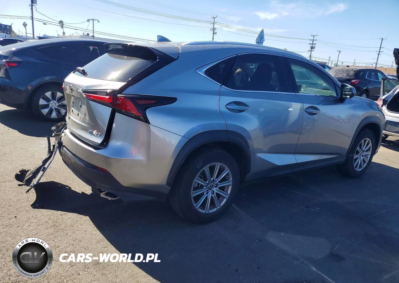 2020 Lexus Nx 300 Base VIN:JTJAARBZ5L5016698 - 3