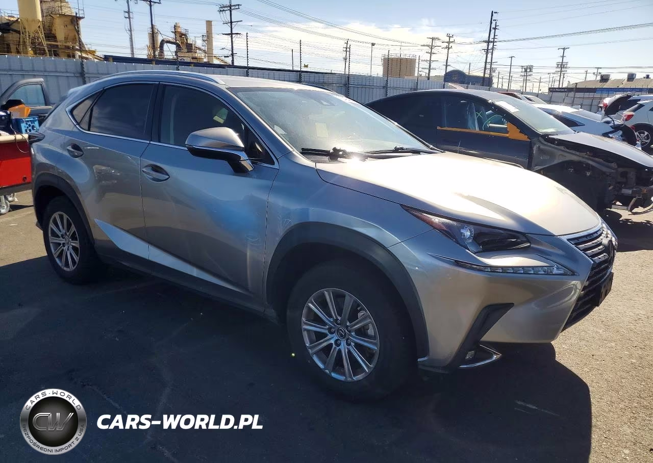 2020 Lexus Nx 300 Base VIN:JTJAARBZ5L5016698 - 4