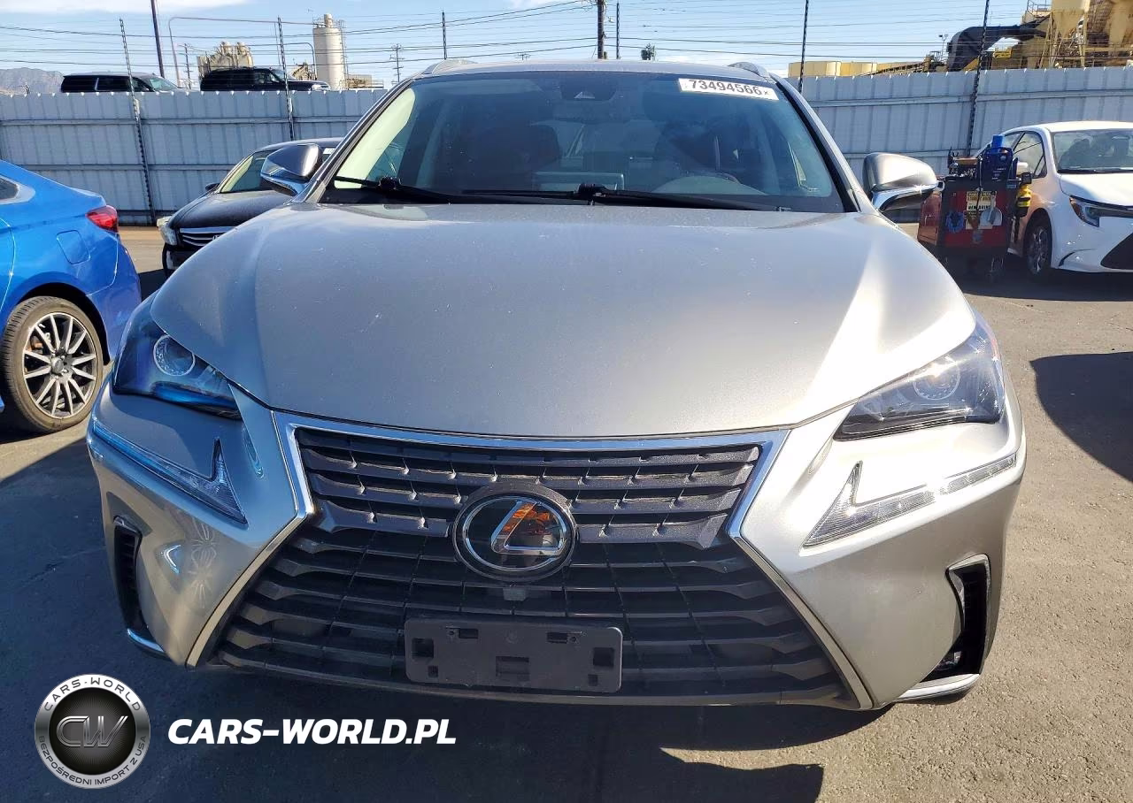 2020 Lexus Nx 300 Base VIN:JTJAARBZ5L5016698 - 5
