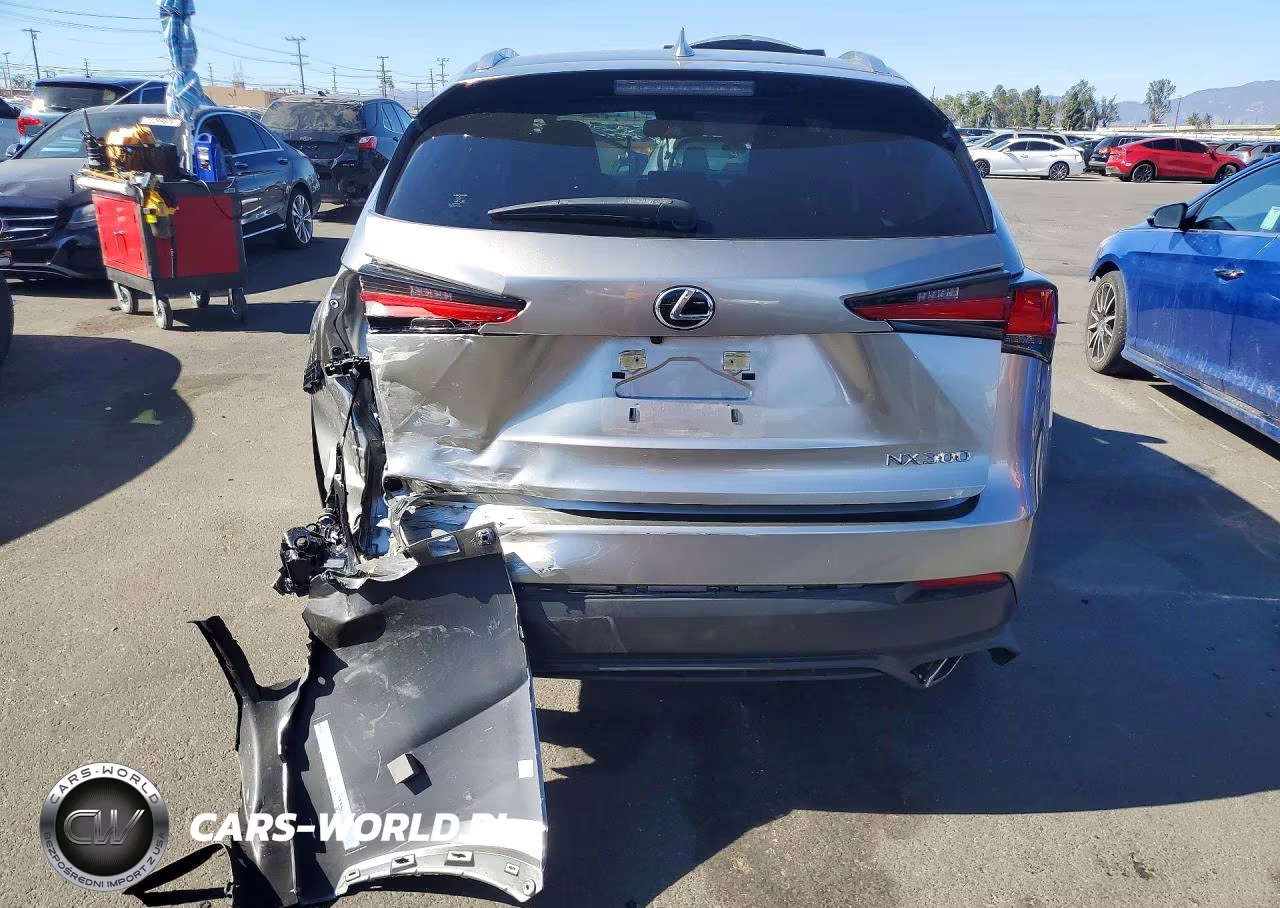2020 Lexus Nx 300 Base VIN:JTJAARBZ5L5016698 - 6