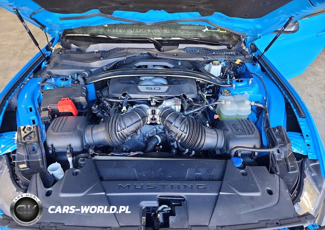 2024 Ford Mustang Dark Horse VIN:1FA6P8R05R5502094 - 11