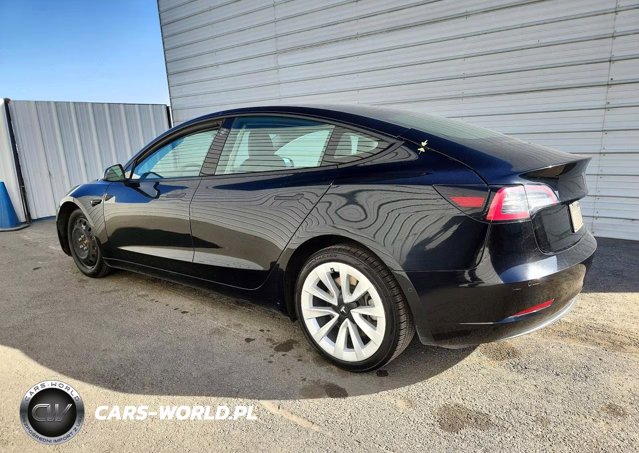 2022 Tesla Model 3 VIN:5YJ3E1EA9NF303888 - 2