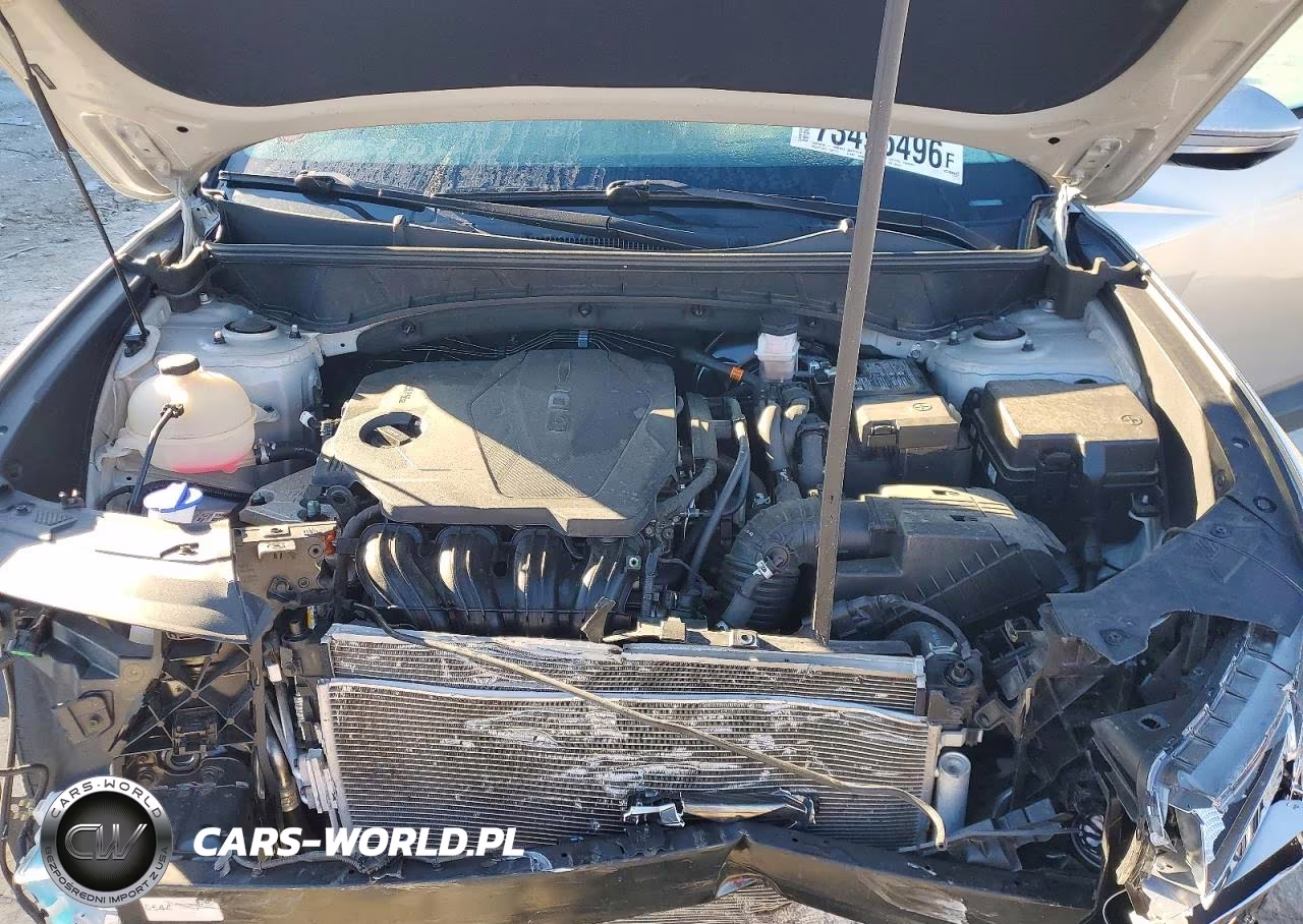 2022 Hyundai Tucson Limited VIN:5NMJECAE1NH003627 - 12