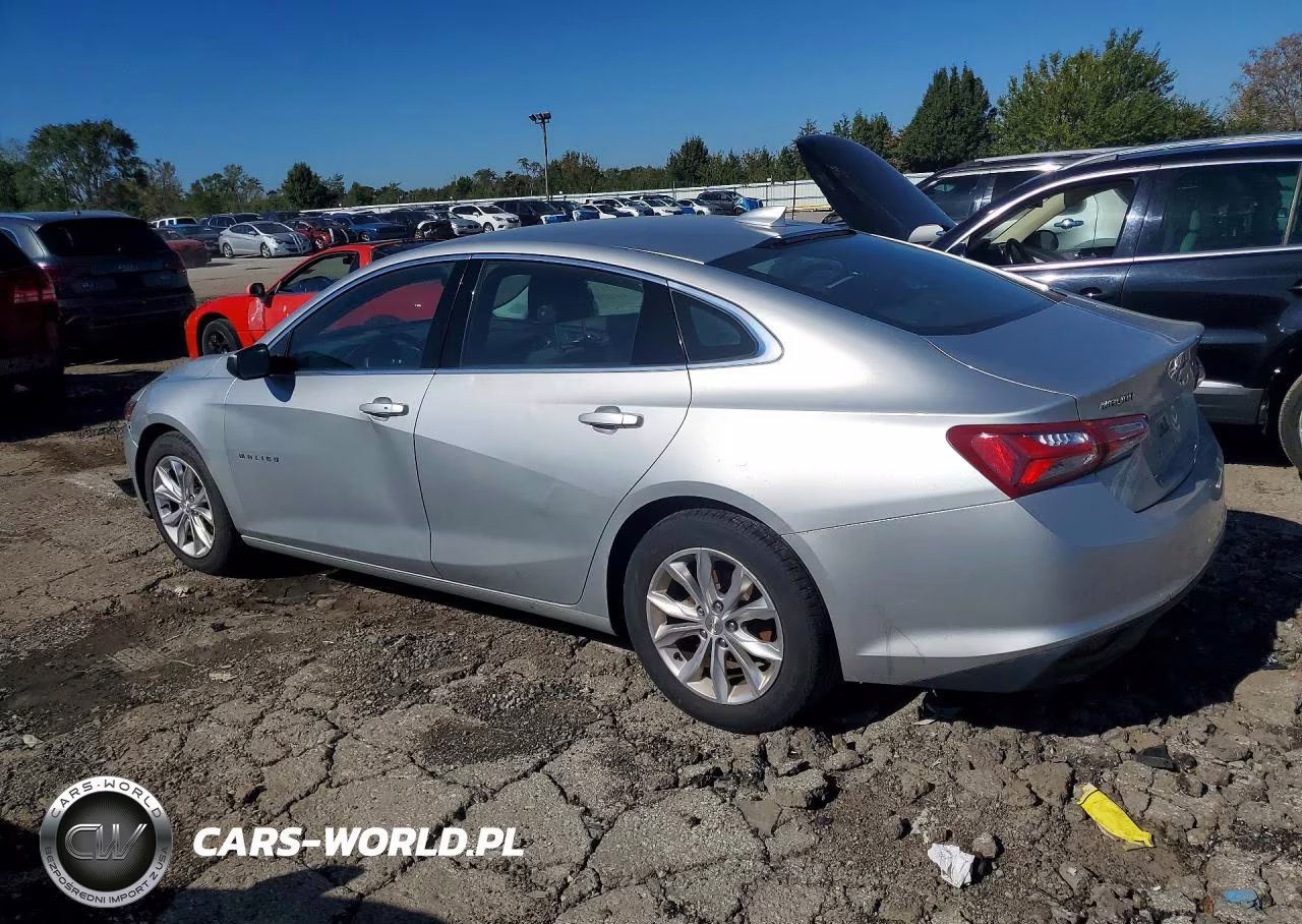 2019 Chevrolet Malibu Lt VIN:1G1ZD5ST1KF169761 - 2