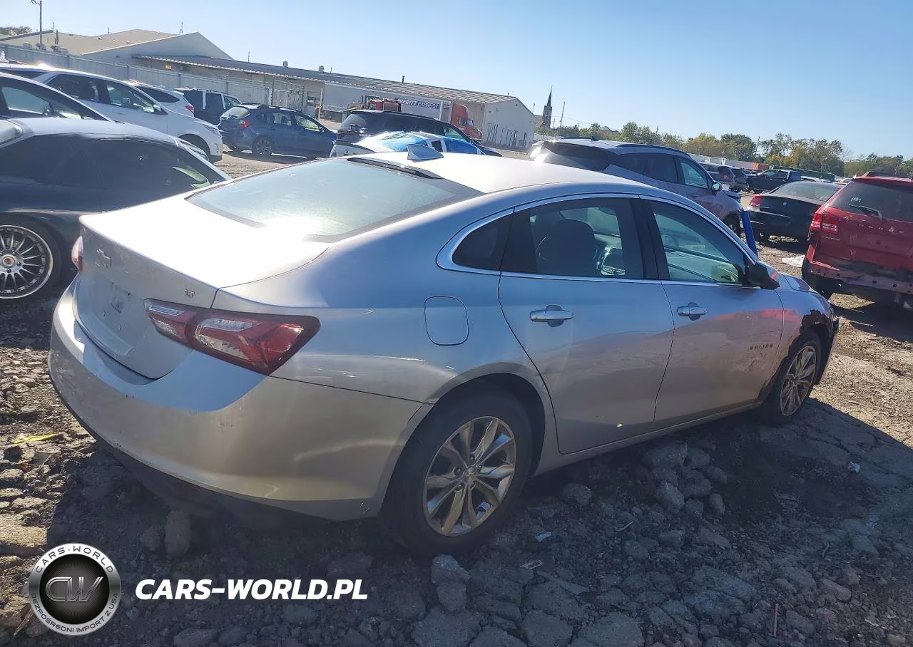 2019 Chevrolet Malibu Lt VIN:1G1ZD5ST1KF169761 - 3