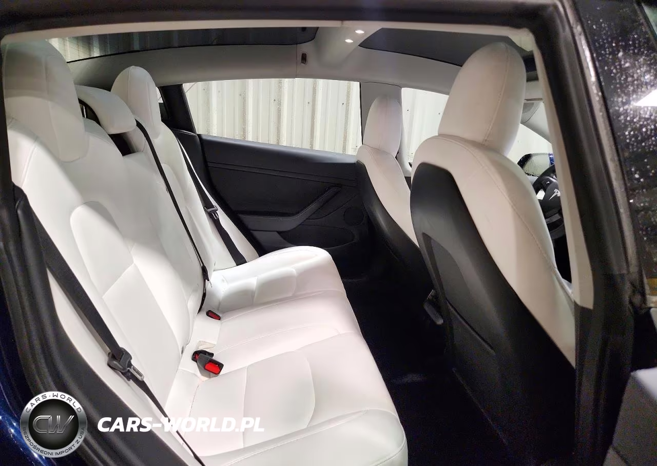 2023 Tesla Model 3 VIN:5YJ3E1EB6PF386742 - 10