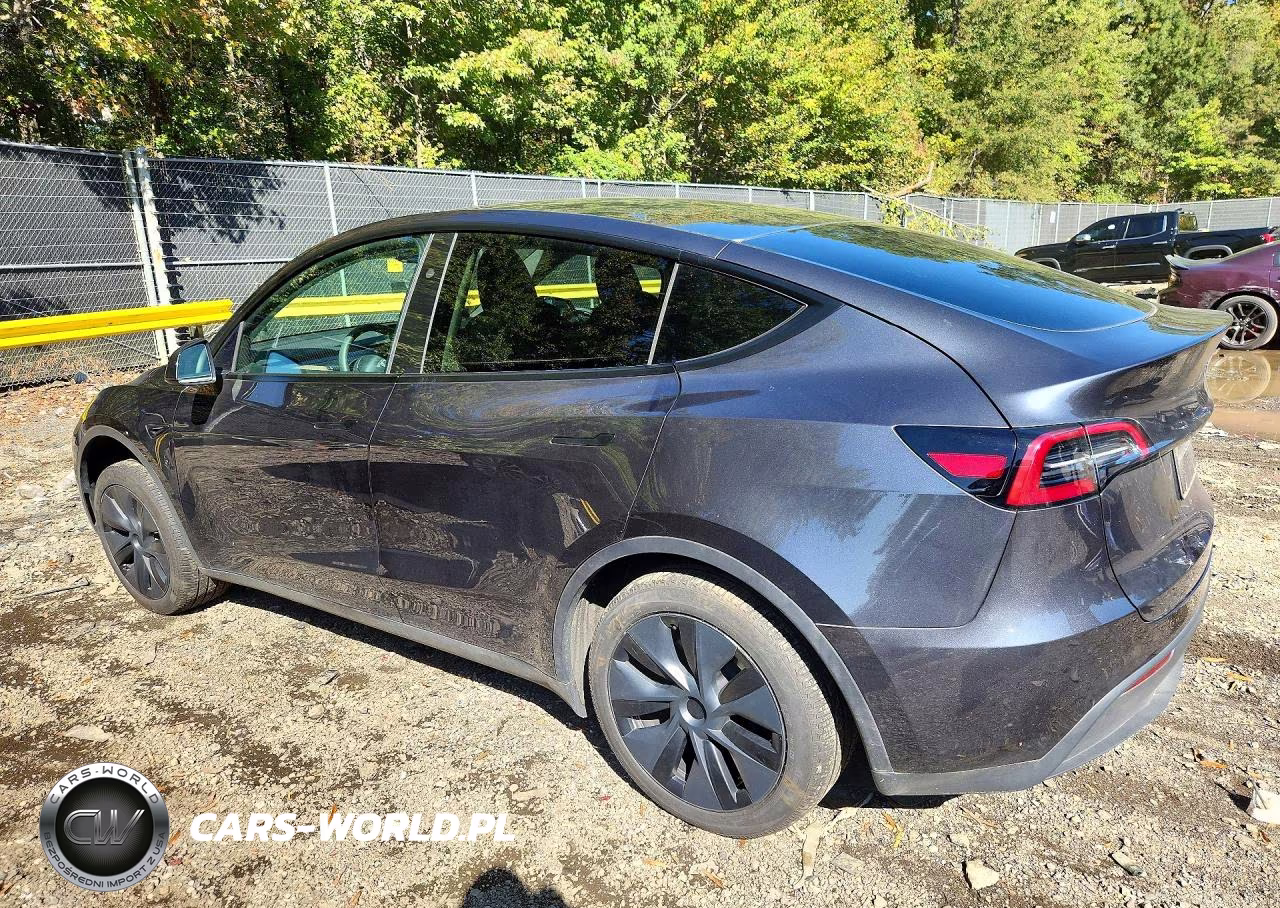 2025 Tesla Model Y VIN:7SAYGDEE4SA360144 - 2