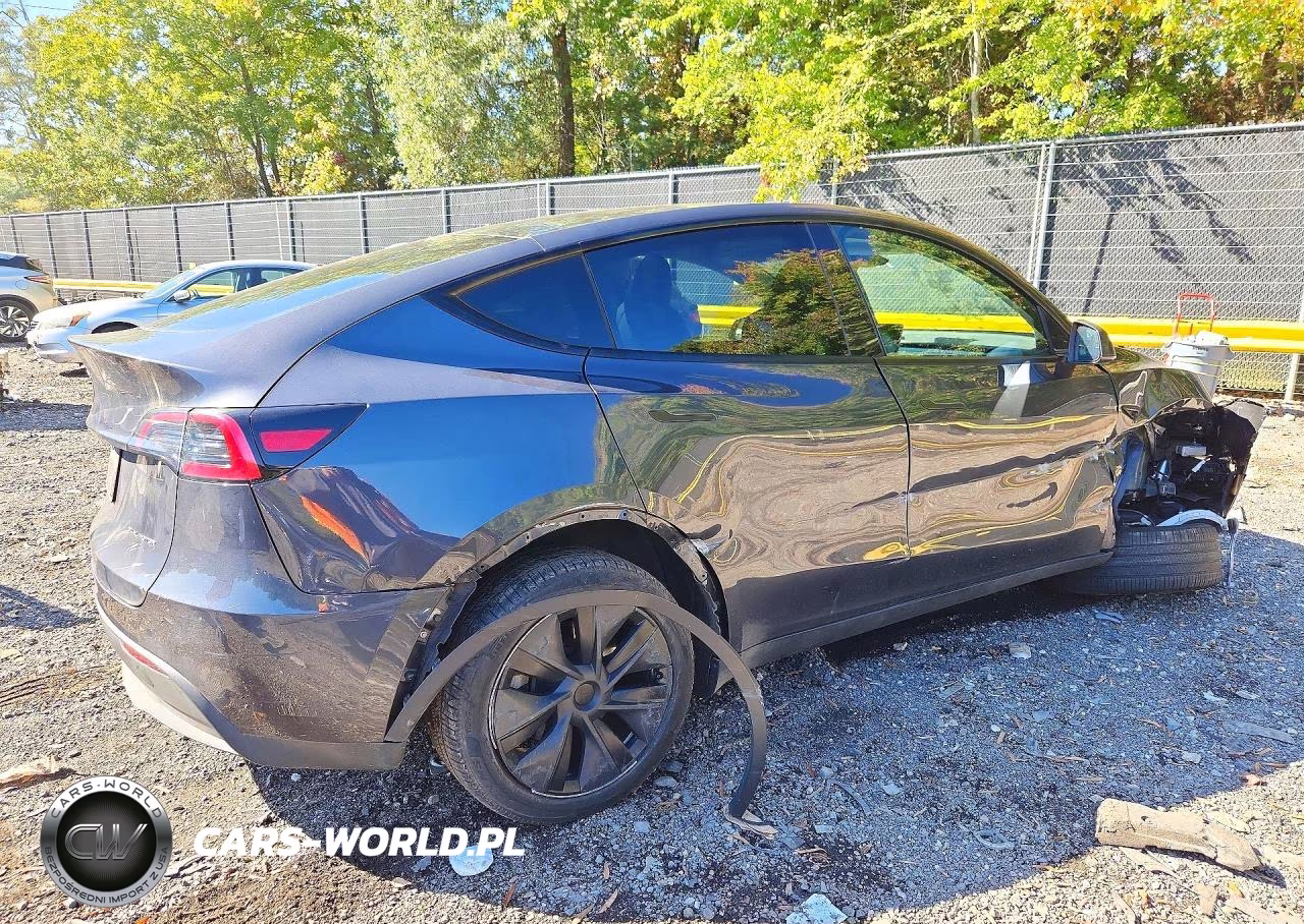2025 Tesla Model Y VIN:7SAYGDEE4SA360144 - 3