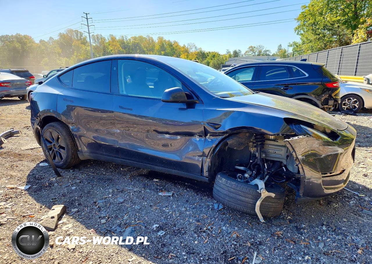 2025 Tesla Model Y VIN:7SAYGDEE4SA360144 - 4