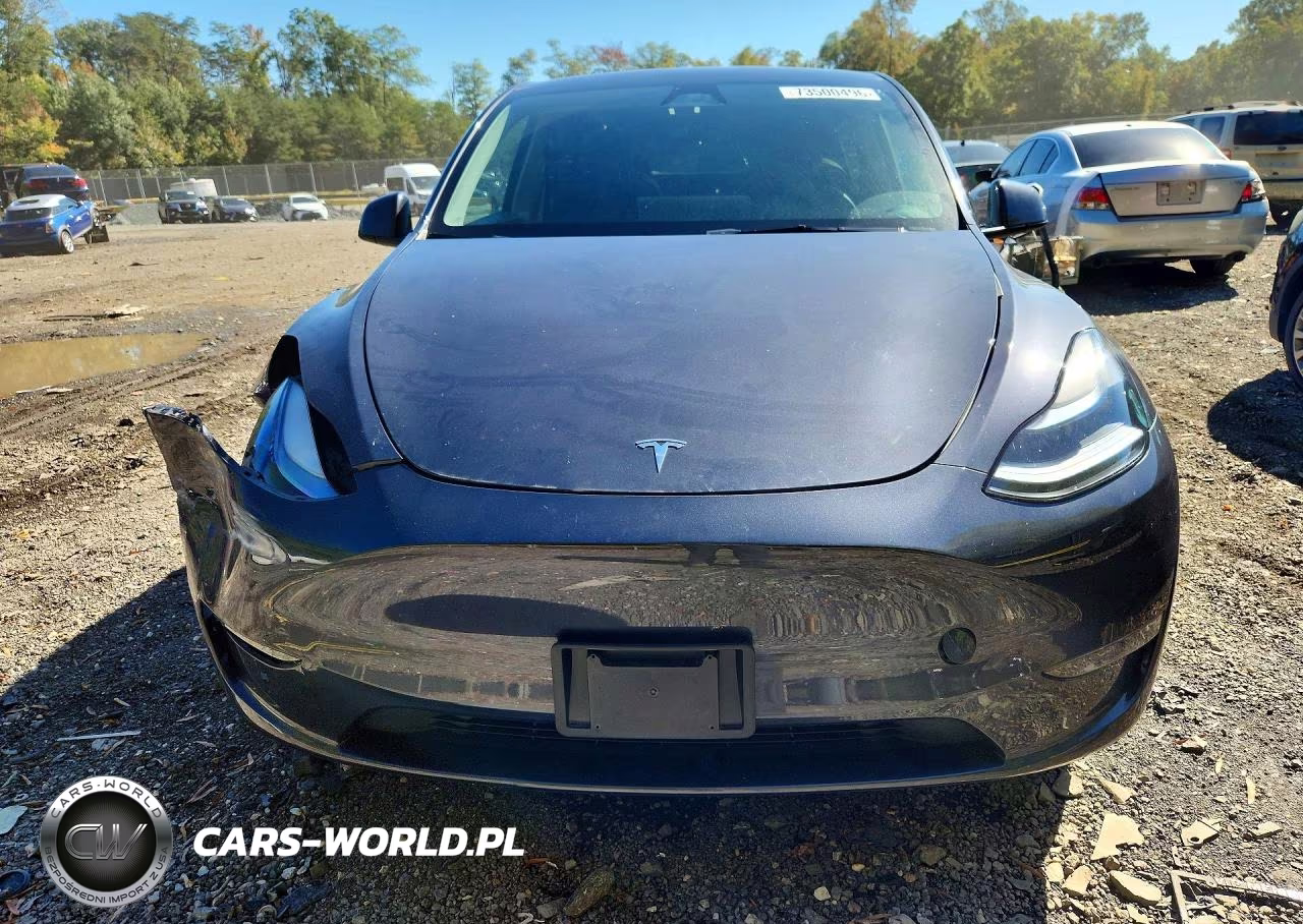 2025 Tesla Model Y VIN:7SAYGDEE4SA360144 - 5