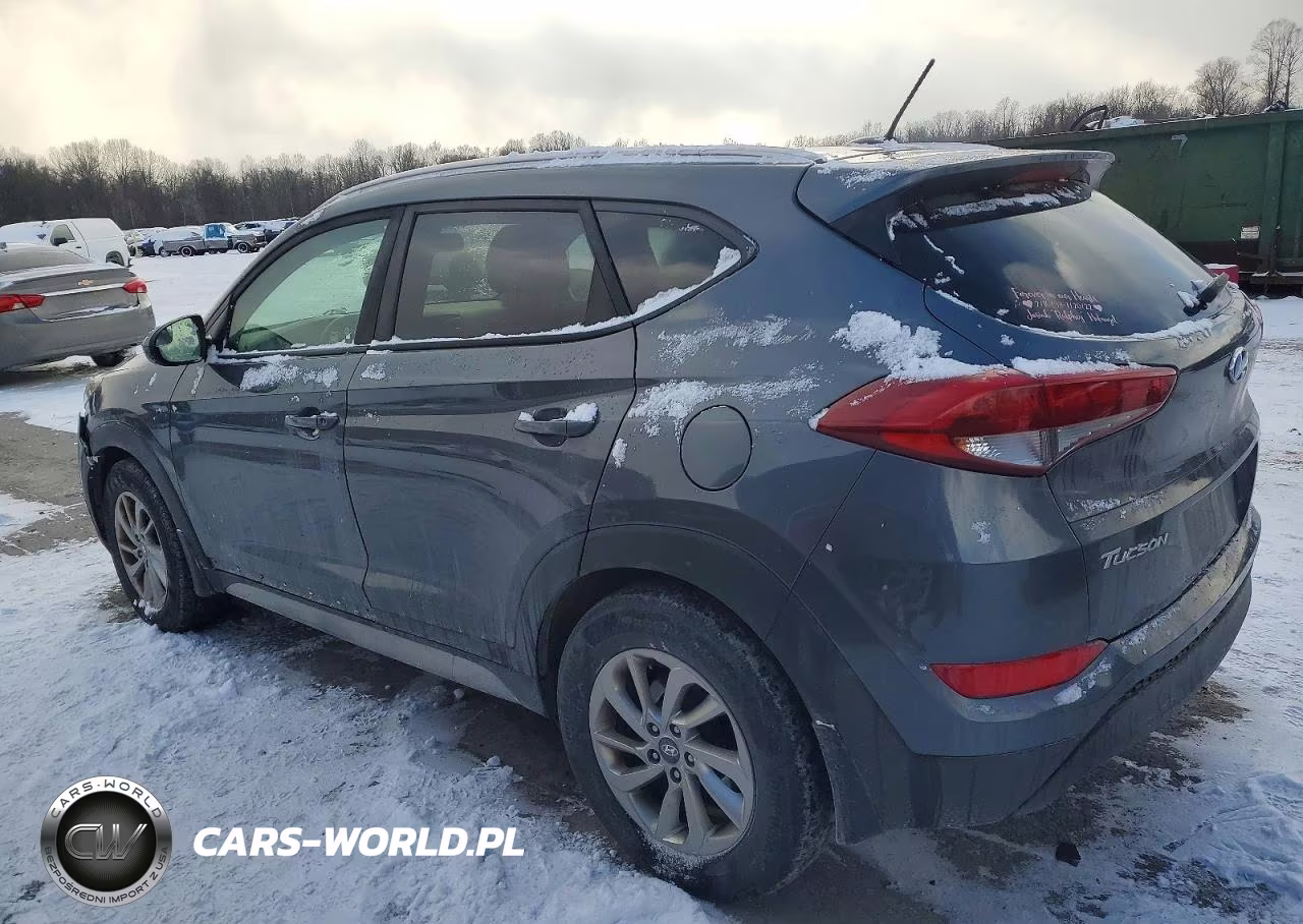 2017 Hyundai Tucson Limited VIN:KM8J3CA46HU441159 - 2