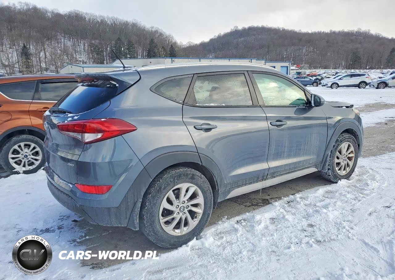 2017 Hyundai Tucson Limited VIN:KM8J3CA46HU441159 - 3