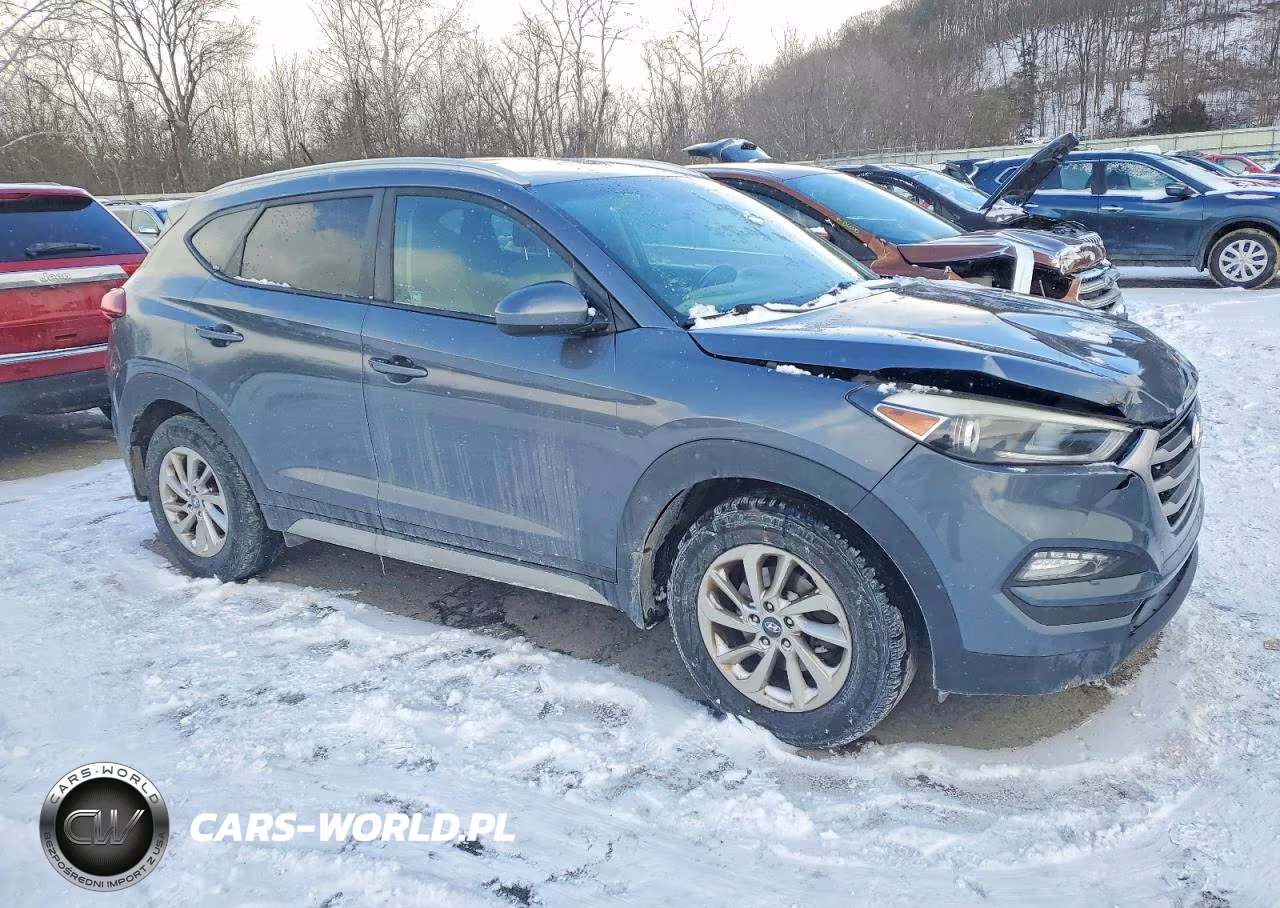 2017 Hyundai Tucson Limited VIN:KM8J3CA46HU441159 - 4