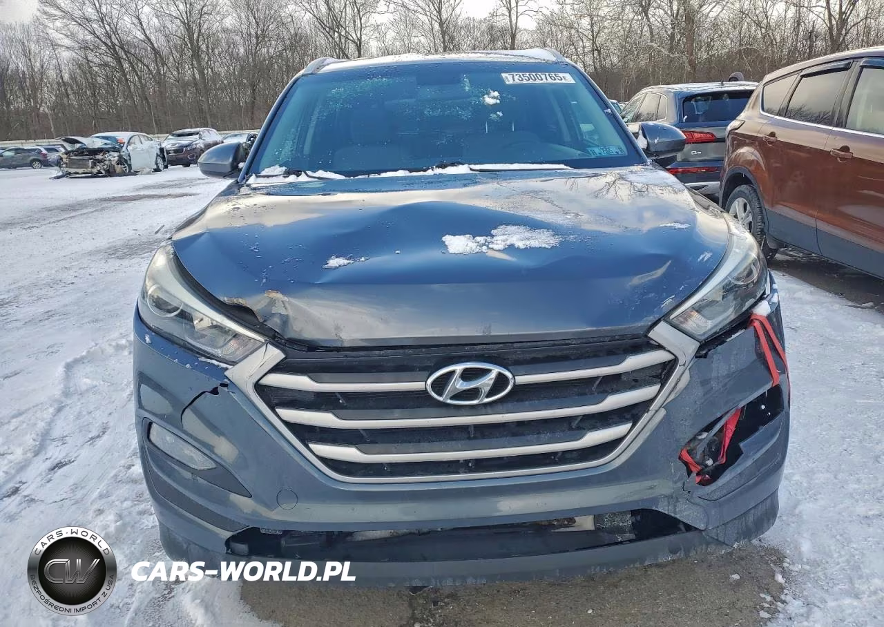 2017 Hyundai Tucson Limited VIN:KM8J3CA46HU441159 - 5
