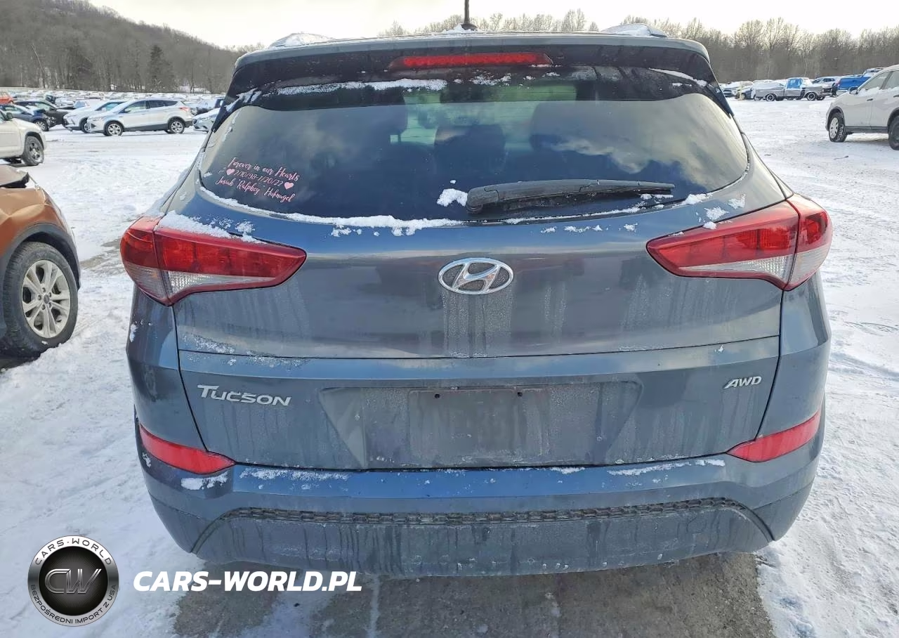 2017 Hyundai Tucson Limited VIN:KM8J3CA46HU441159 - 6