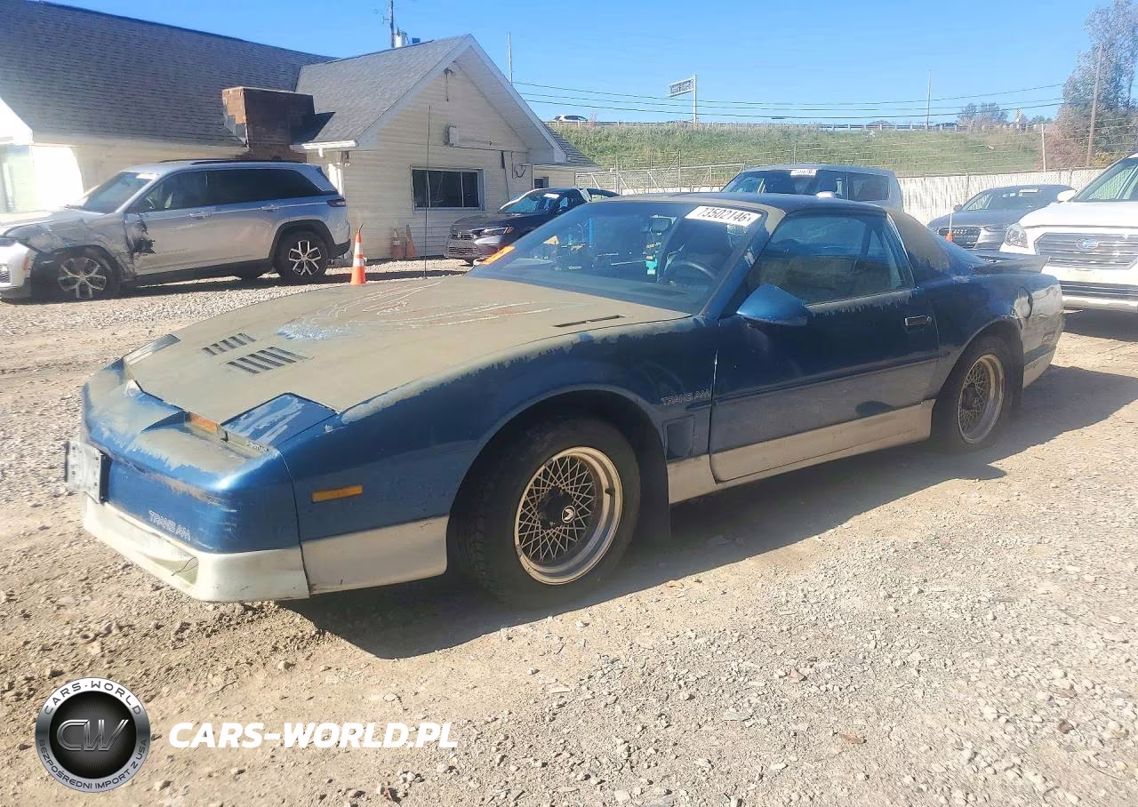 1989 Pontiac Firebird Trans Am VIN:1G2FW21F1KL256807 - 1