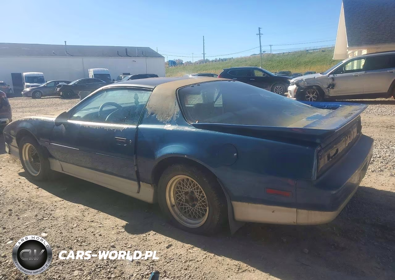 1989 Pontiac Firebird Trans Am VIN:1G2FW21F1KL256807 - 2