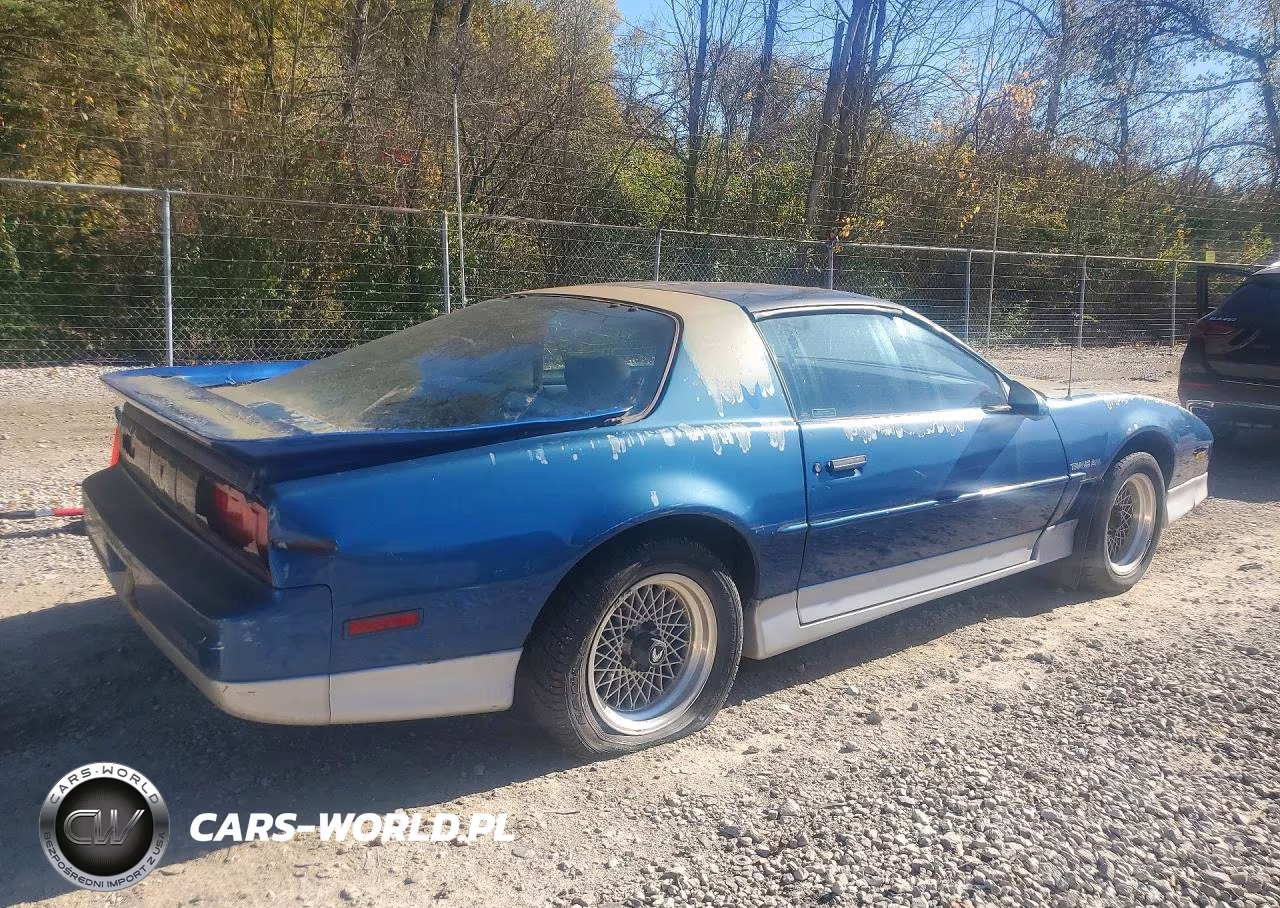 1989 Pontiac Firebird Trans Am VIN:1G2FW21F1KL256807 - 3