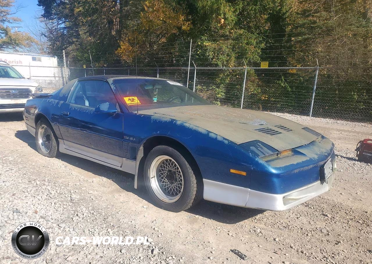 1989 Pontiac Firebird Trans Am VIN:1G2FW21F1KL256807 - 4