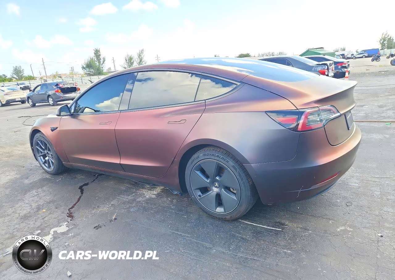 2021 Tesla Model 3 VIN:5YJ3E1EAXMF092800 - 2