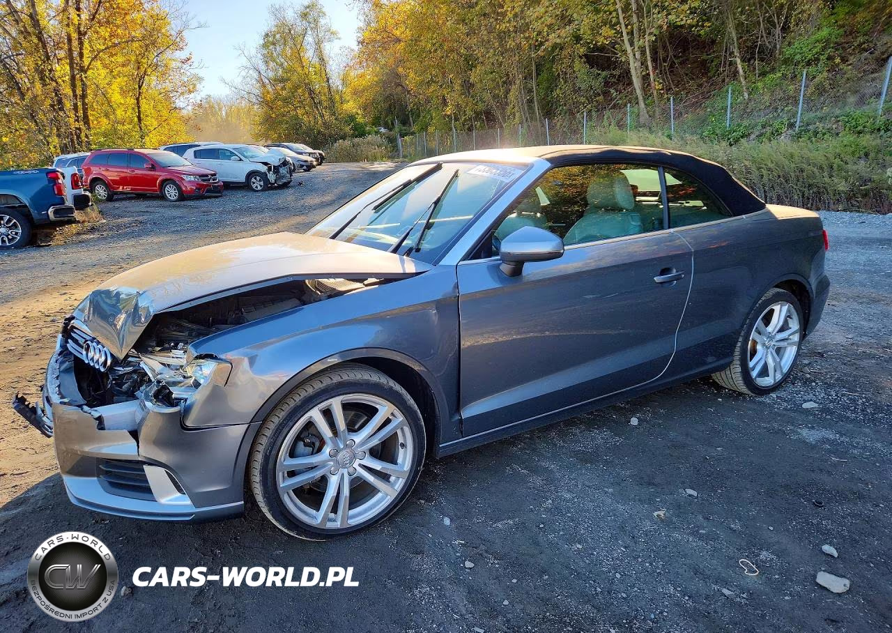 2018 Audi A3 Premium VIN:WAU78LFF7J1009582 - 1