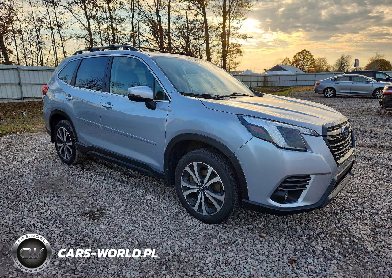 2022 Subaru Forester Limited VIN:JF2SKAPC6NH513322 - 4