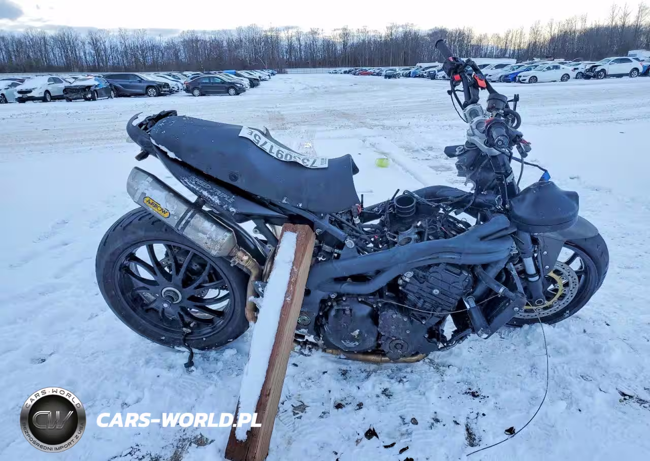 2008 Triumph Motorcycle Speed Triple