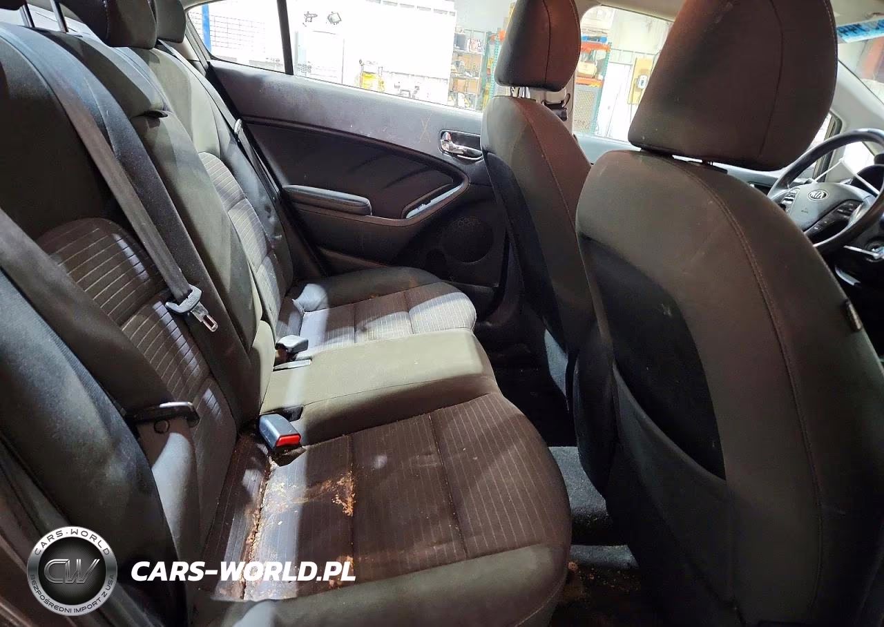 2014 Kia Forte Lx VIN:KNAFX4A69E5213729 - 10