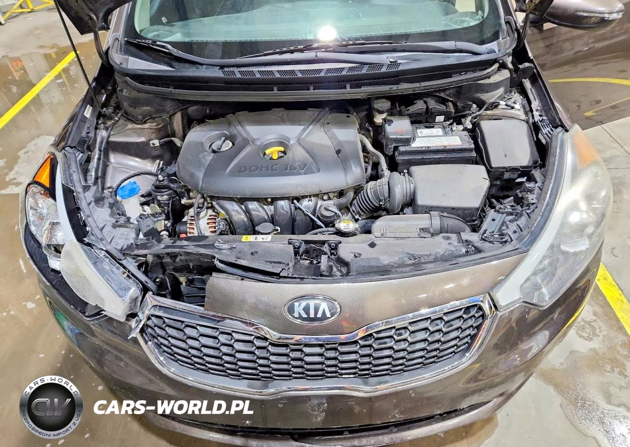 2014 Kia Forte Lx VIN:KNAFX4A69E5213729 - 11