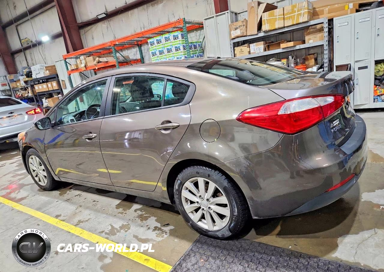 2014 Kia Forte Lx VIN:KNAFX4A69E5213729 - 2