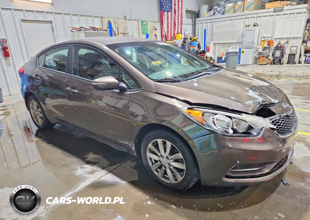 2014 Kia Forte Lx VIN:KNAFX4A69E5213729 - 4