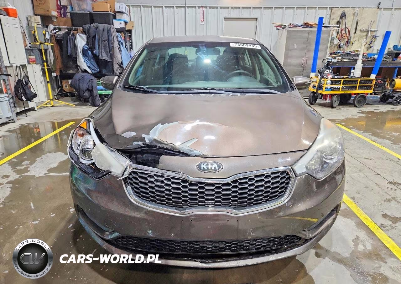 2014 Kia Forte Lx VIN:KNAFX4A69E5213729 - 5