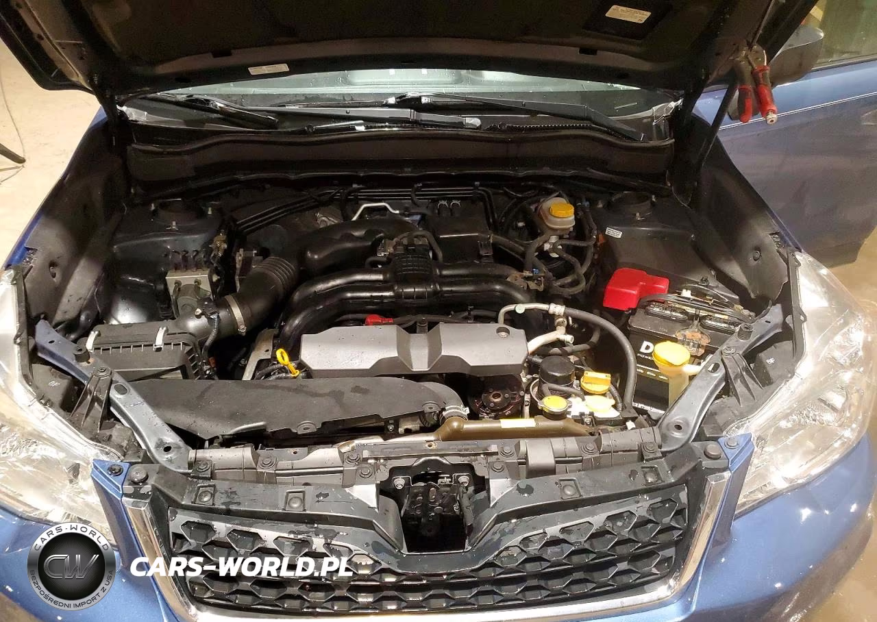 2015 Subaru Forester 2.5I VIN:JF2SJABC4FH802260 - 12